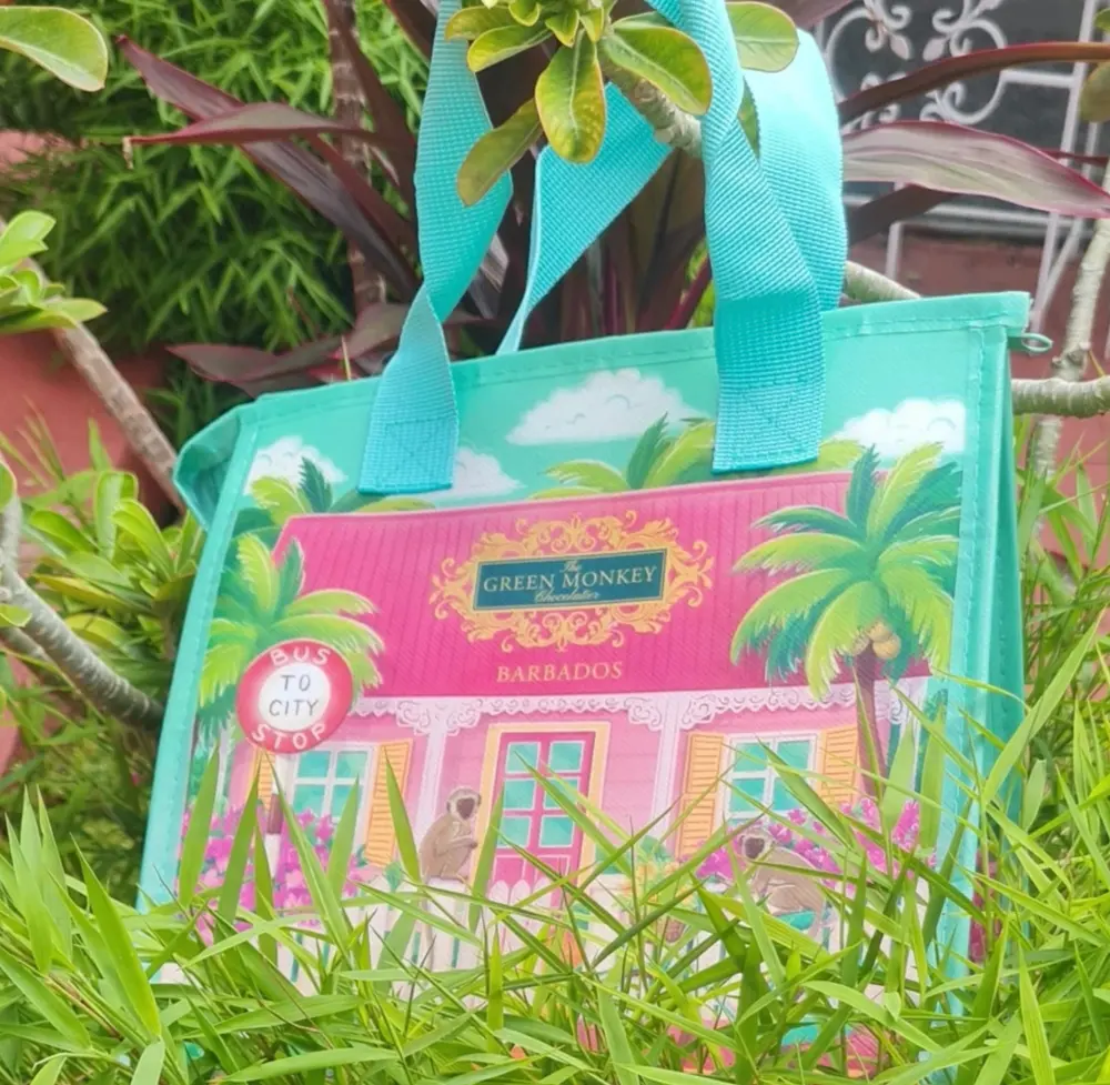 Tropical Art for the Bag — illustration 6 by Anastasiia Asiosi