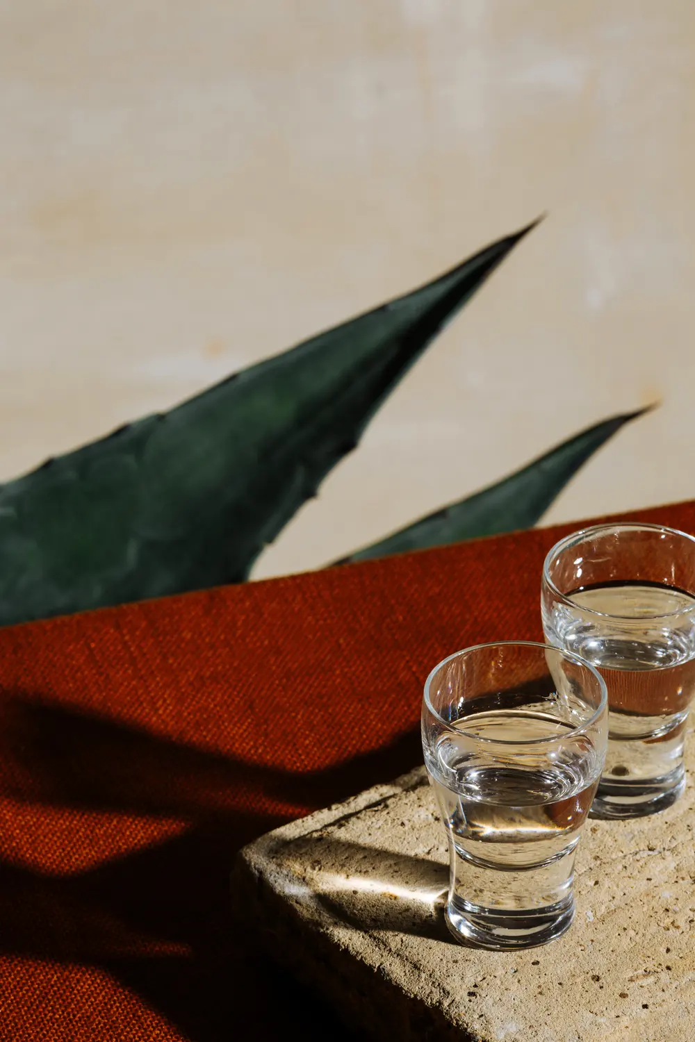 Espinas Mezcal Ad — illustration 2 by Anastasiia Asiosi
