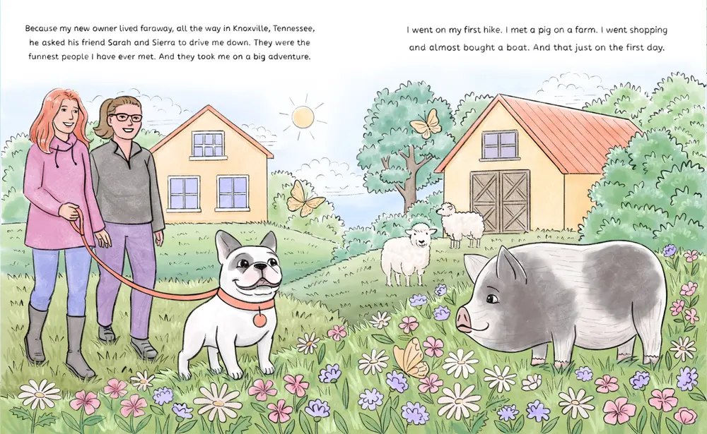Picture book — illustration 7 by Anastasiia Asiosi