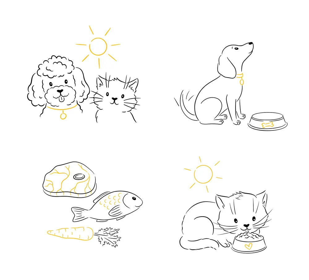 Vector illustration — illustration 13 by Anastasiia Asiosi