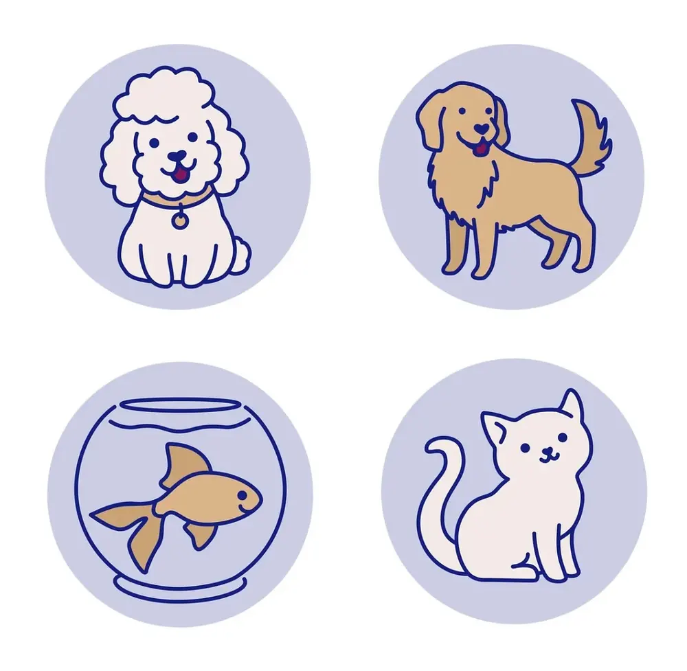 Vector illustration — illustration 15 by Anastasiia Asiosi